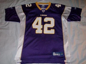 Darren Sharper 42 Minnesota Vikings Reebok OnField NFL Jersey Boys XL 18-20 used - Picture 1 of 2