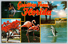 Greetings from Florida - Land of Sunshine  - Vintage Postcard - Unposted