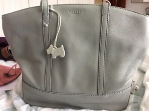 NEW RADLEY beautiful bag in duck egg- tags, dustbag & dog tag ‘Quintrell’ - Picture 1 of 8