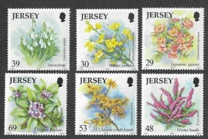 JERSEY FLORES TEMPORADA INVIERNO MNH FLORES NATURALES - Imagen 1 de 1