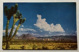 Desert Landscape Postcard (S1) - Picture 1 of 2