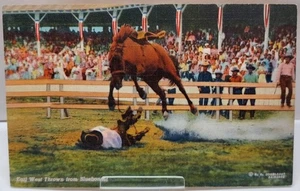 Earl West Thrown from Bluebonnet - POST CARD - listing #8411 - Picture 1 of 8