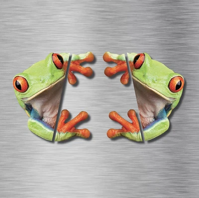 DOS 3D Peep Frog Divertidas Pegatinas Coche Ventana Camión Vinilo Calcomanía Gráficos Auto REAL Foto 1 de 4