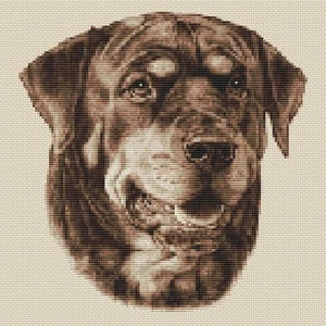 Diseño de punto de cruz para perro Rottweiler (Sepia, 10""x10", 25x25cm, kit o gráfico) - Imagen 1 de 1
