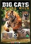 Big Cats DVD Top Qualität kostenloser UK-Versand