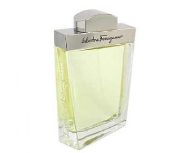 Salvatore Ferragamo Pour Homme By Salvatore Ferragamo 100ml Edts - image 1 of 1
