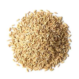 Gluten Free Organic Oat Groats — Non-GMO Seeds, Raw, Non-Irradiated, Vegan, Bulk - Picture 1 of 64