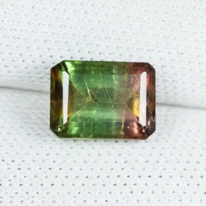 1.37Cts Beautiful Luster Natural Bi Color Tourmaline - Octagon...!!!  - Picture 1 of 2