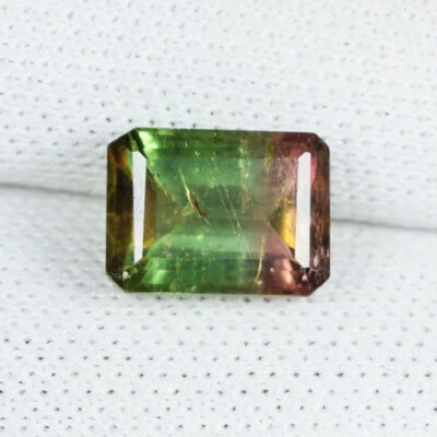 1.37Cts Beautiful Luster Natural Bi Color Tourmaline - Octagon...!!!  - Image 1 of 2