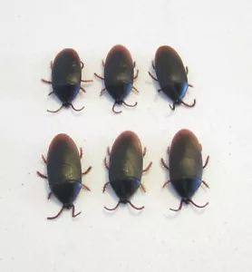 6 REALISTIC FAKE COCKROACHES LARGE CREEPY COCK ROACH BUGS PRANK GAG GIFT - Picture 1 of 7