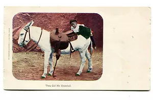 Vintage Postcard Comic Donkey African-Americana "They call me Snowball" UDB 1906 - Picture 1 of 1
