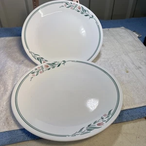 2 Corelle by Corning Ware Rosemarie Speiseteller Tulpe - Bild 1 von 4