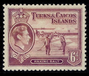 TURKS & CAICOS ISLANDS GVI SG201, 6d mauve, M MINT. Cat £22. - Picture 1 of 1