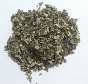 1 oz. Yerba Santa (Eriodictyon californicum) cosecha silvestre EE. UU. - Imagen 1 de 2