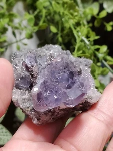 TANZANITE purple flourite crystal specimen 104g - Picture 1 of 12