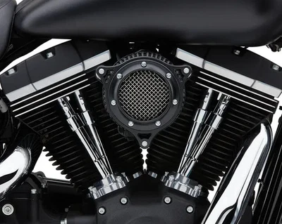 Kit de filtro de filtro de aire Cobra Black RPT XL Harley Sportster 1200 Roadster 04-08 Foto 1 de 4