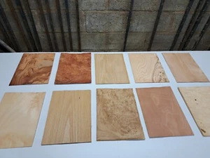 Wood Veneer Sample Pack - 10 PIECES 300mm x 210mm - for marquetry - Pack 209 - Picture 1 of 12