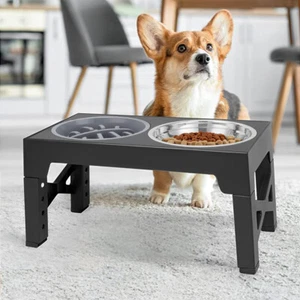 Elevated Raised Double Dog Pet Bowls Slow Feeder with Adjustable Heights Stand - Picture 1 of 17