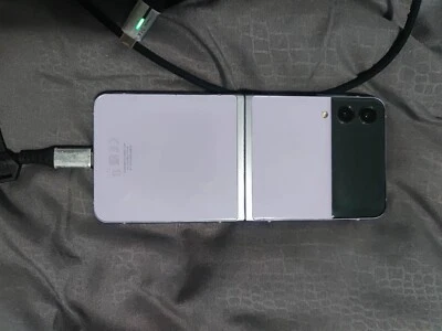 samsung galaxy z flip3 5g Funzionante Con Difetto Sul Display  - Immagine 1 di 4