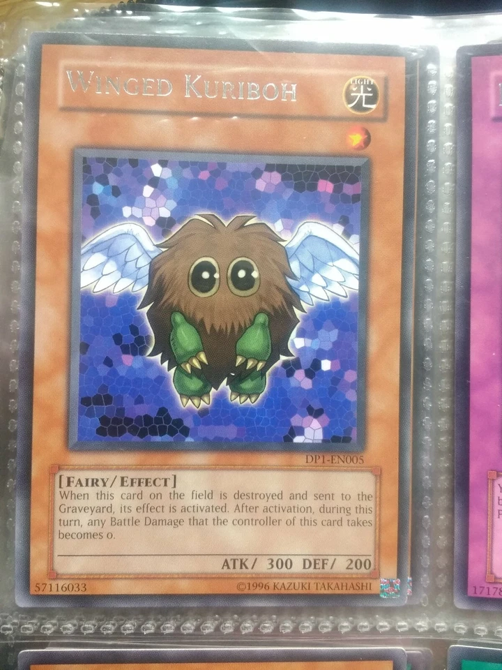 Yu-gi-oh! Rare - Winged kuriboh - DP1 - EN005 - mint - sleeved - free postage - Photo 1/1