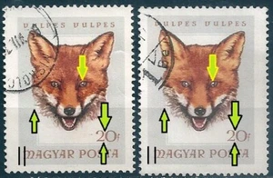 20801 Hungary Fauna Wild Animal Mammal Fox Used ERROR Shifted Colour - Picture 1 of 2