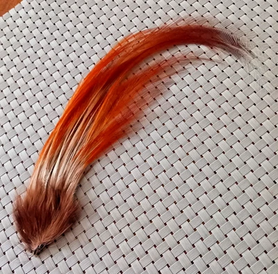 Hutfeder - ca. 20 cm lang - Bild 1 von 4