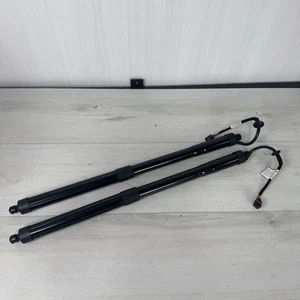 Tailgate Lift Supports Shock Strut Rear for Hyundai Santa Fe LWB 2013-2020 - Foto 1 di 13