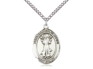St Francis of Assisi Medal 1" High Sterling Medal on a 20'' Sterling Curb Chain - Picture 1 of 5