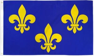 "FLEUR DE LIS BLUE 3" flag 3x5 ft polyester banner sign - Picture 1 of 6