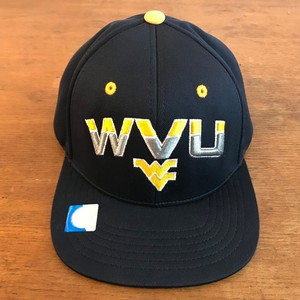 Baseball West Virginia Mountaineers 