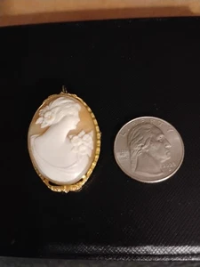 Vintage  Gold Filled Shell Cameo Brooch or Pendant Pretty Lady Portrait - Picture 1 of 4