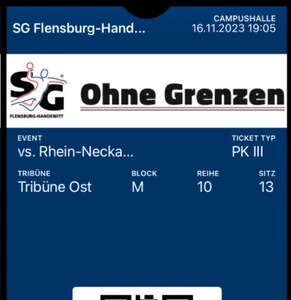 SG Flensburg Handewitt Tickets - Bild 1 von 2