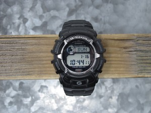 casio 3195