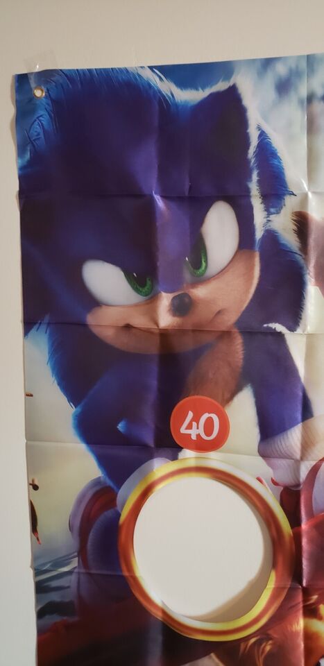 SONIC the Hedgehog Kids Birthday Party BEAN BAG Toss Game 