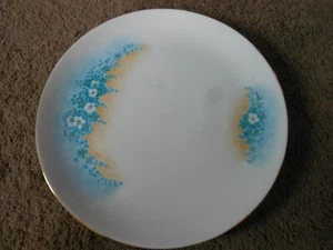 BEAUTIFULLY HANDPAINTED PORCELAIN  PLATE WITH BLUE AND WHITE FLOWERS, GERMANY - Picture 1 of 11