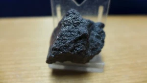 GEOLOGICAL ENTERPRISES Jurassic Fossil Dino Coprolite "Poop"  C - Picture 1 of 5