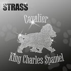 CAVALIER KING CHARLES SPANIEL M1 Hund Applikation Bügelbild zum aufbügeln