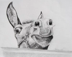 Original Graphite Drawing "Howdy Neighbor" - Picture 1 of 1