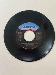 Peter Allen – You And Me (We Wanted It All) Vinyl, 7", 45 RPM, Single Rock 1983 - Picture 1 of 2