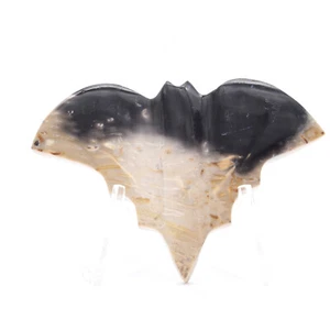 67mm Crystal Gemstone Fossilised Palm Root Bat Healing Mineral Natural - Picture 1 of 3