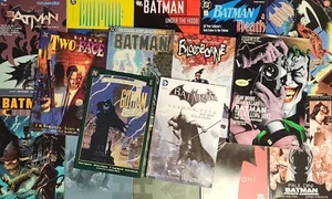 Batman Graphic Novel TPB Lot of 16 Comic Books Killing Joke Hush Terror - Picture 1 of 17