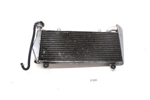 Ducati Panigale 899 959 1199 1299 V2 Cooler Radiator Water - Picture 1 of 14
