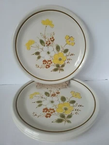 Juego de 4 platos de cena de gres DEVILLE Spring Song 303 de colección hechos en Japón - Imagen 1 de 3