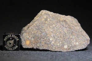 NWA 14133 H5 Condrita Meteorito 14 gramos parte rebanada + muchos cóndrulos - Imagen 1 de 3