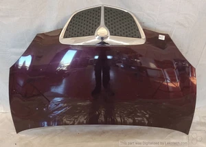 51872629 Cofano ant.  LANCIA YPSILON (TE) 1.2 16V Oro Ber. 3p/b/1242cc - Foto 1 di 6