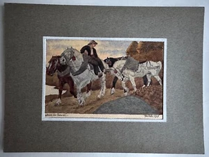 Ancien aquarelle de poilu trench art WW1 signé Elisabeth Casthelan 1917 chevaux - Picture 1 of 6