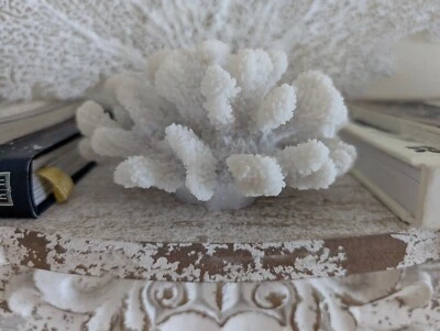 Coral artificial realista decoración costera del hogar arrecife acuario Foto 1 de 4