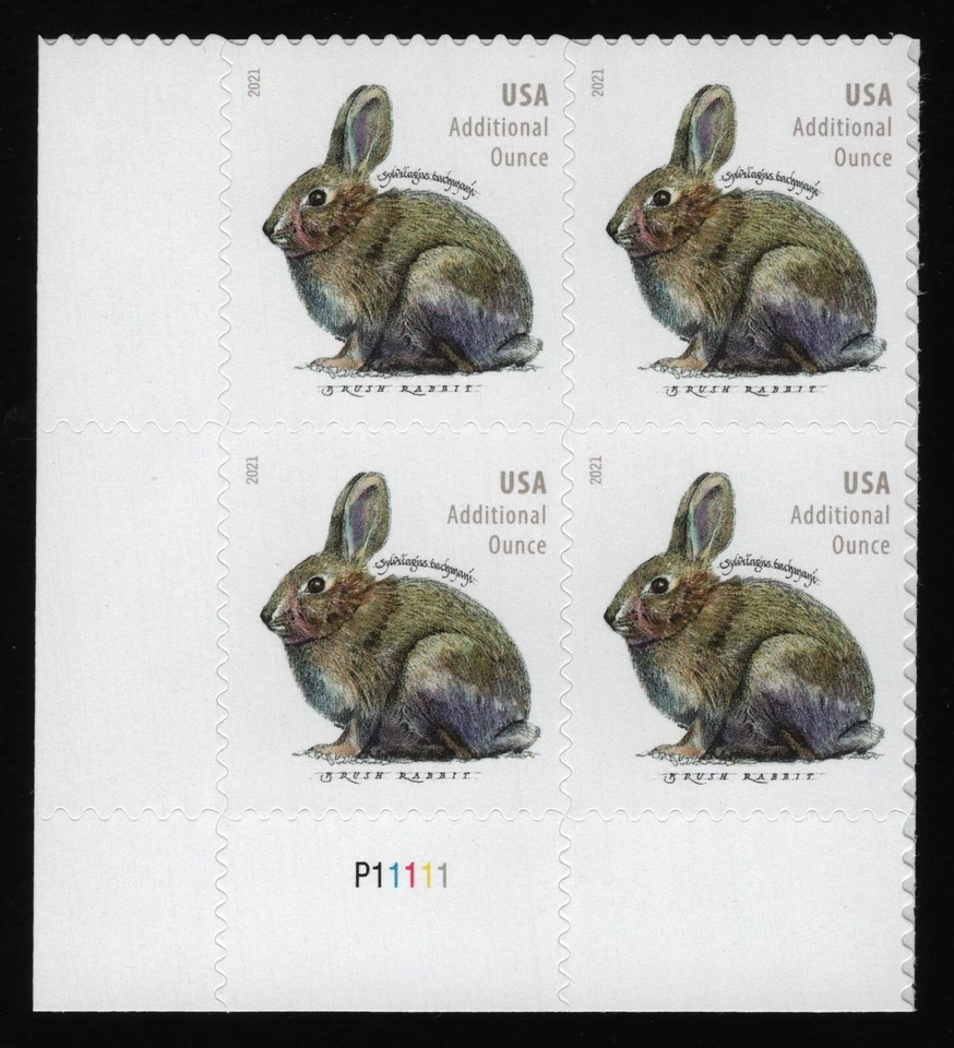 #5544 Brush Rabbit, Plate Block [P11111 LL] Mint **ANY 5=FREE SHIPPING** - Image 1 of 1