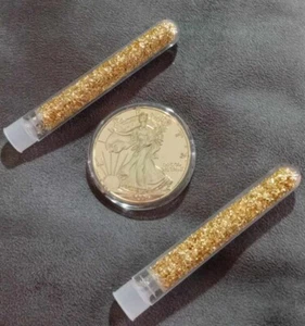 2004 24K Gold Plated American $1 - 1oz .999 Silver Eagle in capsule + Gift - Picture 1 of 3