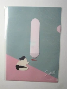 Hakkiyoi KITTE Cartella File Trasparente Originale A4 Edizione Limitata Sumo Design - Foto 1 di 2